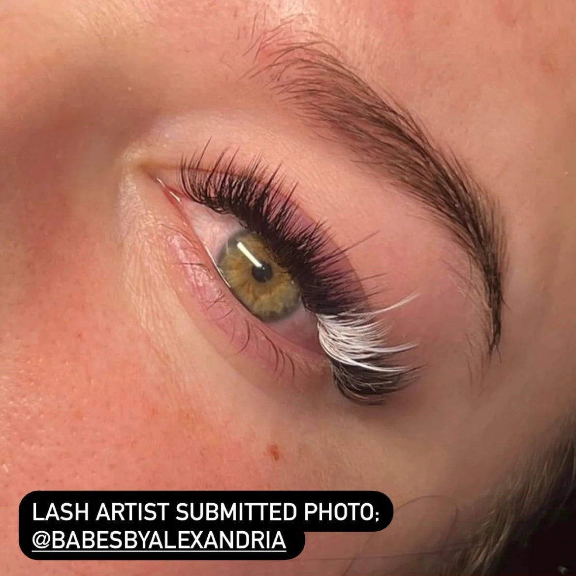 White lash trays
